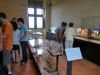 P1000290.jpg