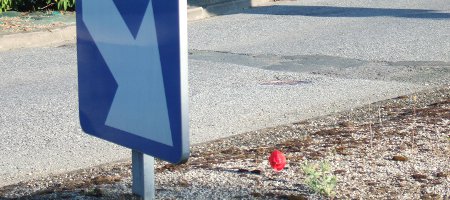 Evron, juin 2010