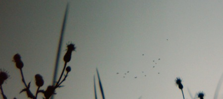 21 août 2010