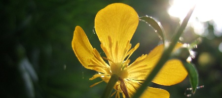 0DSCF5648v.JPG