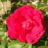 DSCF4973.jpg