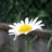 DSCF4985.jpg